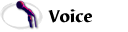 Voice